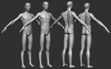 Anatomy Sculpt