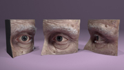 Eye Snippet